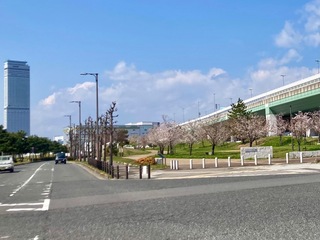 IMG_9891.jpeg