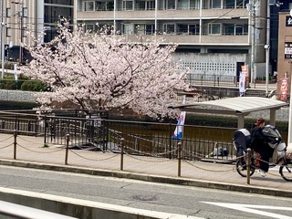 IMG_9944.jpeg