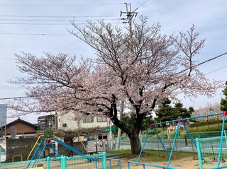 IMG_9952.jpeg
