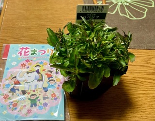 IMG_9969.jpeg