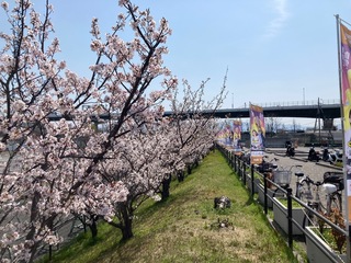 IMG_9998-77ff8.jpeg